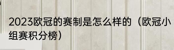 2023欧冠的赛制是怎么样的（欧冠小组赛积分榜）