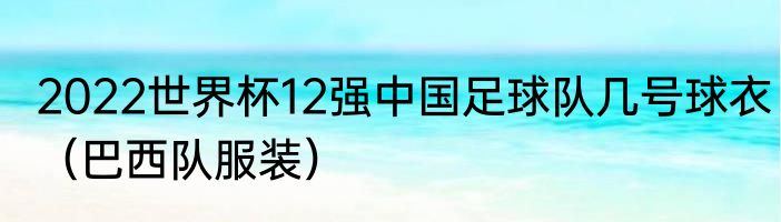 2022世界杯12强中国足球队几号球衣（巴西队服装）