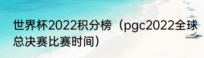 世界杯2022积分榜（pgc2022全球总决赛比赛时间）