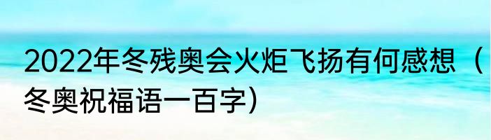 2022年冬残奥会火炬飞扬有何感想（冬奥祝福语一百字）