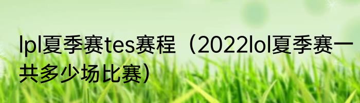 lpl夏季赛tes赛程（2022lol夏季赛一共多少场比赛）