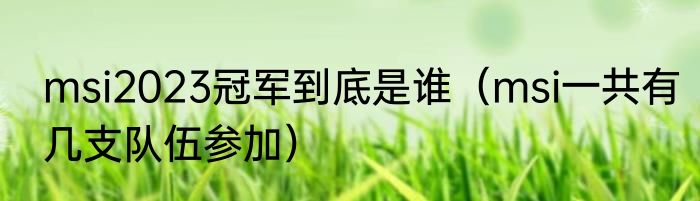 msi2023冠军到底是谁（msi一共有几支队伍参加）