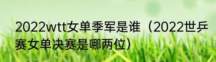 2022wtt女单季军是谁（2022世乒赛女单决赛是哪两位）