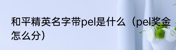 和平精英名字带pel是什么（pel奖金怎么分）