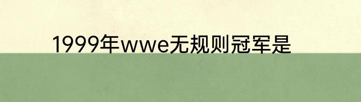 1999年wwe无规则冠军是