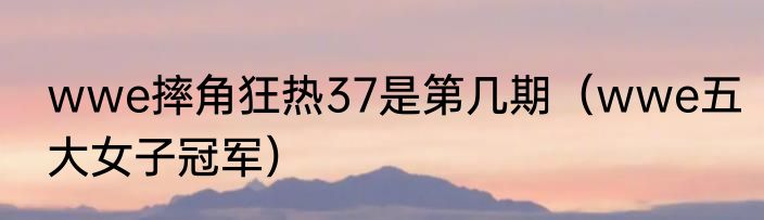 wwe摔角狂热37是第几期（wwe五大女子冠军）
