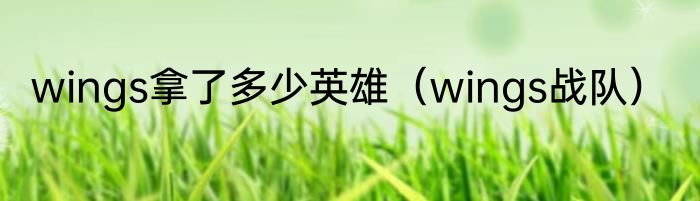 wings拿了多少英雄（wings战队）