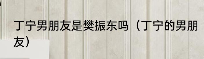 丁宁男朋友是樊振东吗（丁宁的男朋友）