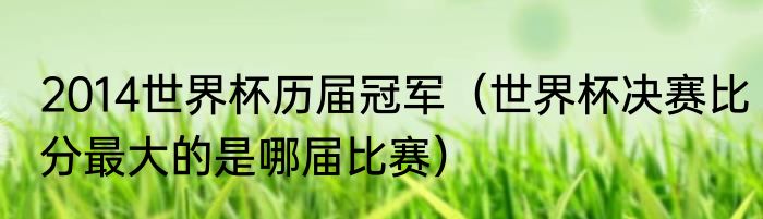 2014世界杯历届冠军（世界杯决赛比分最大的是哪届比赛）