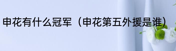 申花有什么冠军（申花第五外援是谁）