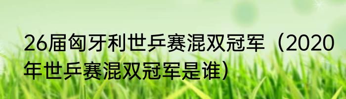 26届匈牙利世乒赛混双冠军（2020年世乒赛混双冠军是谁）