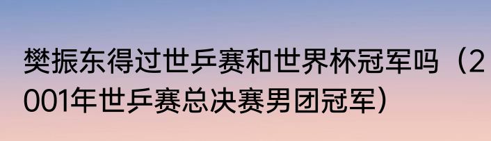 樊振东得过世乒赛和世界杯冠军吗（2001年世乒赛总决赛男团冠军）