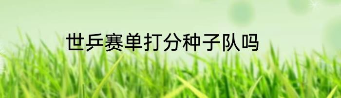 世乒赛单打分种子队吗