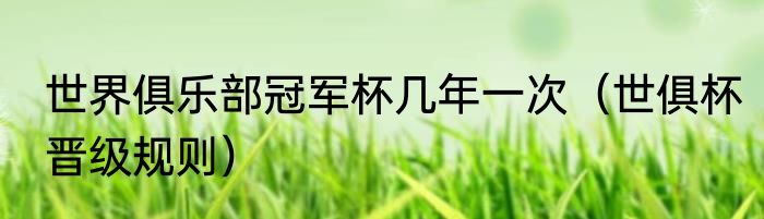 世界俱乐部冠军杯几年一次（世俱杯晋级规则）