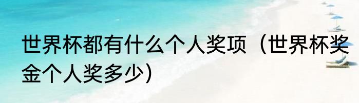世界杯都有什么个人奖项（世界杯奖金个人奖多少）