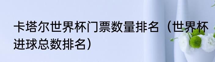 卡塔尔世界杯门票数量排名（世界杯进球总数排名）