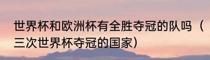 世界杯和欧洲杯有全胜夺冠的队吗（三次世界杯夺冠的国家）