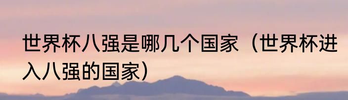 世界杯八强是哪几个国家（世界杯进入八强的国家）