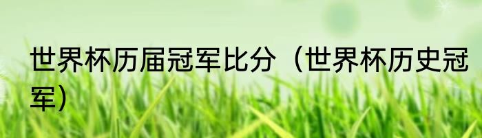 世界杯历届冠军比分（世界杯历史冠军）