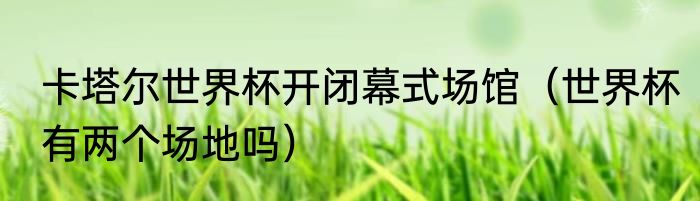 卡塔尔世界杯开闭幕式场馆（世界杯有两个场地吗）