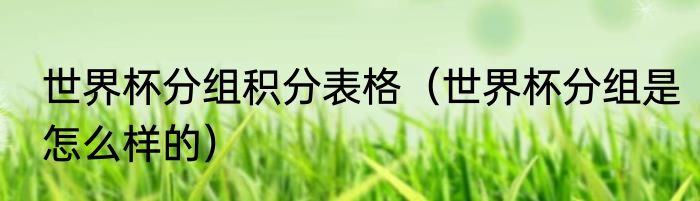 世界杯分组积分表格（世界杯分组是怎么样的）