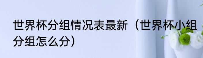 世界杯分组情况表最新（世界杯小组分组怎么分）