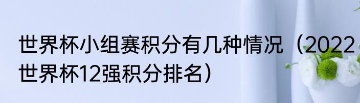 世界杯小组赛积分有几种情况（2022世界杯12强积分排名）