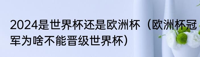 2024是世界杯还是欧洲杯（欧洲杯冠军为啥不能晋级世界杯）