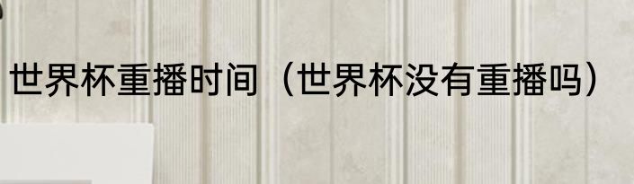 世界杯重播时间（世界杯没有重播吗）