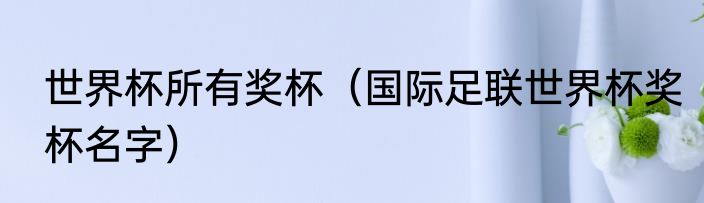 世界杯所有奖杯（国际足联世界杯奖杯名字）