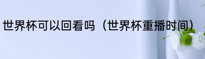 世界杯可以回看吗（世界杯重播时间）