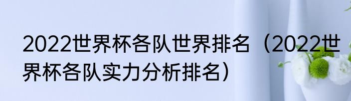 2022世界杯各队世界排名（2022世界杯各队实力分析排名）