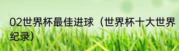 02世界杯最佳进球（世界杯十大世界纪录）