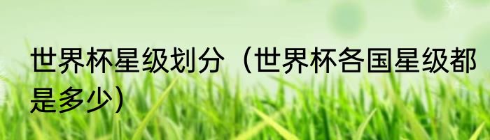 世界杯星级划分（世界杯各国星级都是多少）