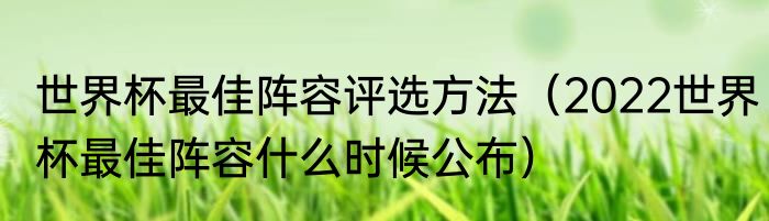 世界杯最佳阵容评选方法（2022世界杯最佳阵容什么时候公布）