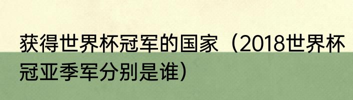 获得世界杯冠军的国家（2018世界杯冠亚季军分别是谁）
