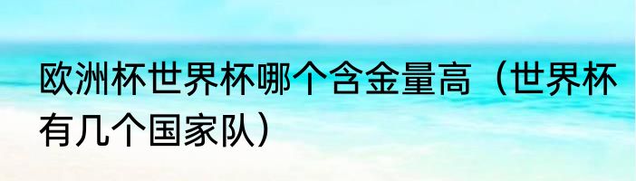 欧洲杯世界杯哪个含金量高（世界杯有几个国家队）
