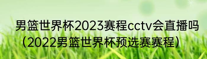 男篮世界杯2023赛程cctv会直播吗（2022男篮世界杯预选赛赛程）