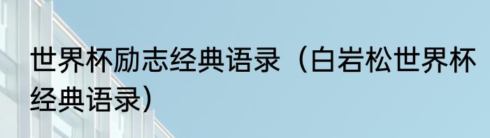 世界杯励志经典语录（白岩松世界杯经典语录）
