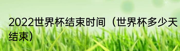 2022世界杯结束时间（世界杯多少天结束）