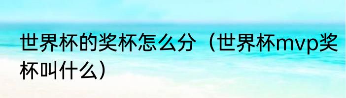 世界杯的奖杯怎么分（世界杯mvp奖杯叫什么）