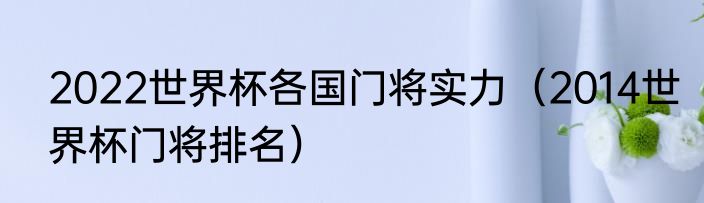 2022世界杯各国门将实力（2014世界杯门将排名）