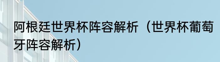 阿根廷世界杯阵容解析（世界杯葡萄牙阵容解析）
