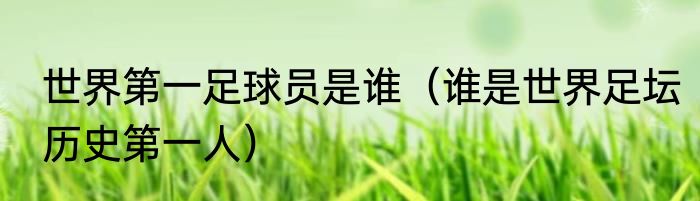 世界第一足球员是谁（谁是世界足坛历史第一人）