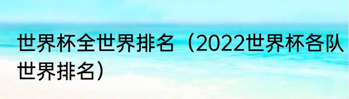 世界杯全世界排名（2022世界杯各队世界排名）