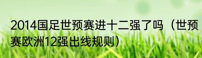 2014国足世预赛进十二强了吗（世预赛欧洲12强出线规则）