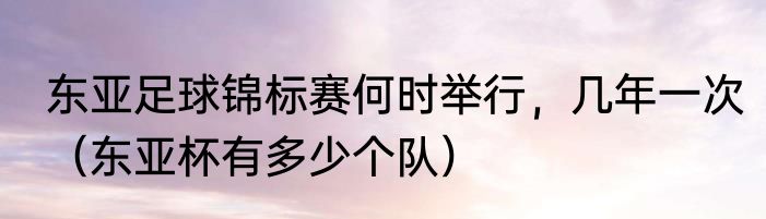 东亚足球锦标赛何时举行，几年一次（东亚杯有多少个队）