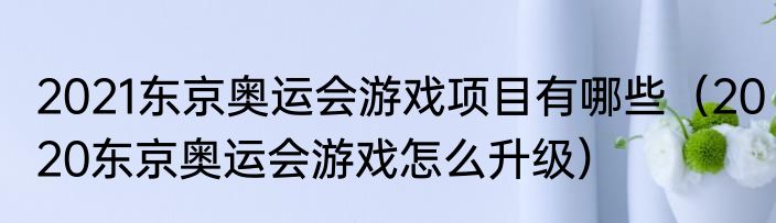 2021东京奥运会游戏项目有哪些（2020东京奥运会游戏怎么升级）