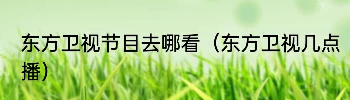 东方卫视节目去哪看（东方卫视几点播）