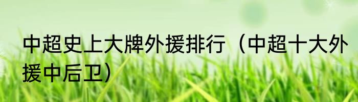 中超史上大牌外援排行（中超十大外援中后卫）